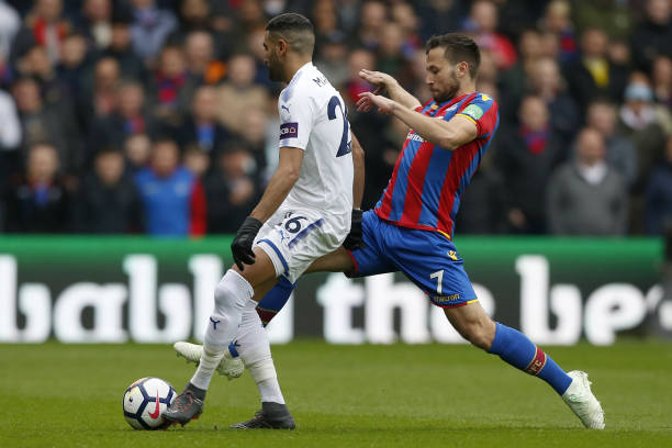 篱或堆放石 篱或堆放石